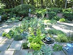 new planting pockets on terrace