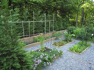 a small kitchen door herb garden