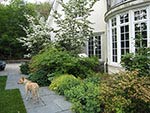 walk from house entrance to driveway showing planting at house wall