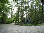 entrance drive island