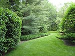 grass walk front to rear