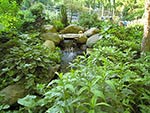 man made stream in a woodland garden