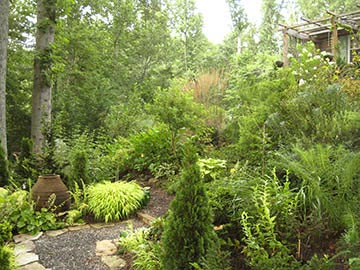 overview of large bank
