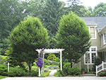 view to rear garden through arbor at garage entrances